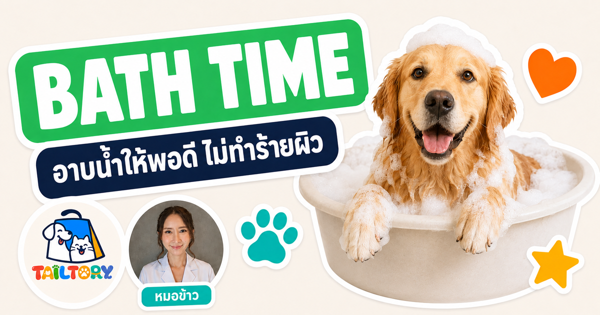 หมอข้าวอาบน้ำน้องหมาโกลเด้นรีทรีฟเวอร์ในอ่างฟองสบู่ อาบน้ำน้องหมาน้องแมว บ่อยแค่ไหนถึงพอดี