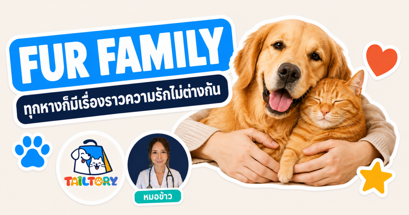 มือเจ้าของกอดสุนัขโกลเดนรีทรีฟเวอร์และแมวส้มด้วยกัน เป็น พ่อแม่ ของน้องหมาน้องแมว