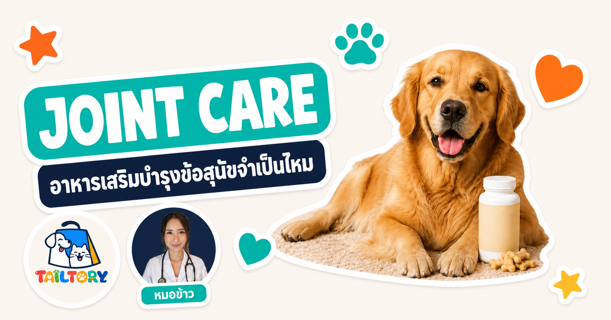ภาพอินโฟกราฟิกสไตล์สติกเกอร์ JOINT CARE อาหารเสริมบำรุงข้อสุนัข กับสุนัขพันธุ์ Golden Retriever