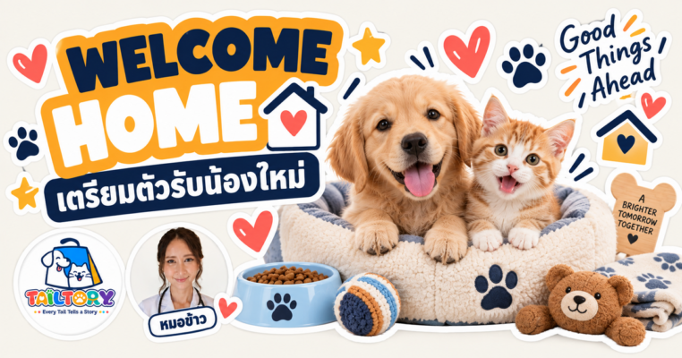 เตรียมตัวรับน้องใหม่ ลูกสุนัข-ลูกแมว ต้องเตรียมอะไรบ้างก่อนวันแรก