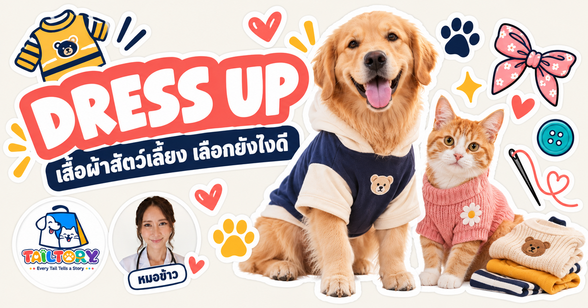 เสื้อผ้าสัตว์เลี้ยง จำเป็นแค่ไหน วิธีเลือกไซส์และเนื้อผ้าให้พอดีตัว