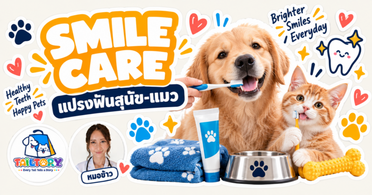หมอข้าวสอนแปรงฟันสุนัขและแมว Tailtory