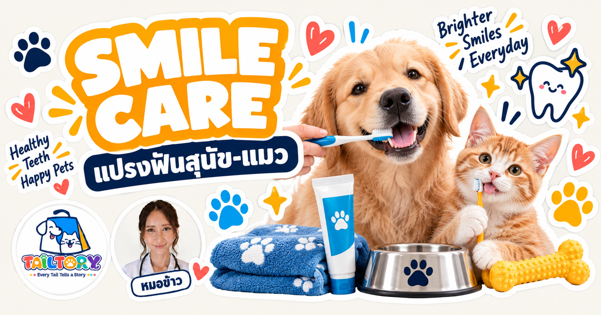หมอข้าวสอนแปรงฟันสุนัขและแมว Tailtory