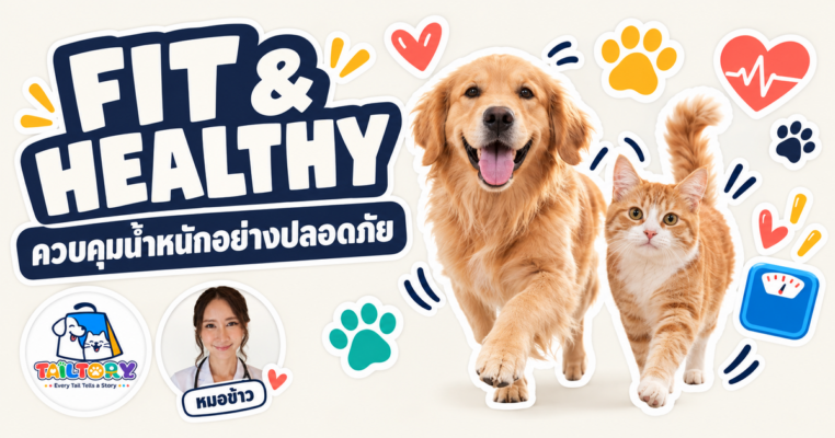 น้องหมาน้องแมวน้ำหนักเกิน สัญญาณและวิธีควบคุมน้ำหนักอย่างปลอดภัย